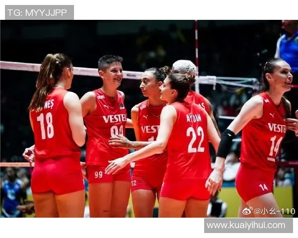 南京排球队在欧锦赛中的灵活性表现与战术创新分析 南京排球队在欧锦赛中的灵活性表现与战术创新分析